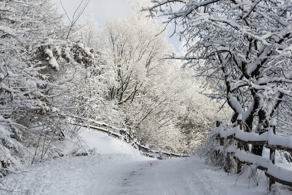 Carpatians winter time — Stock Photo, Image