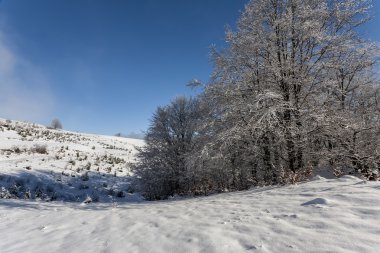 kış döneminde dağlar