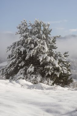 kış döneminde dağlar