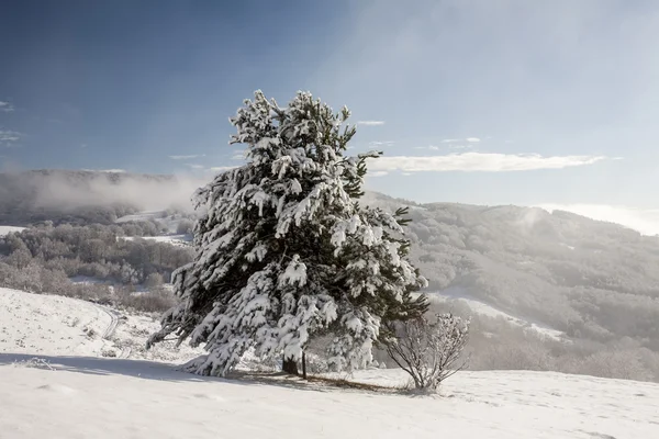 Wintertijd in Bergen — Stockfoto