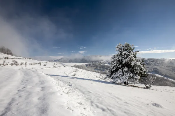 Зимнее время в горах — стоковое фото
