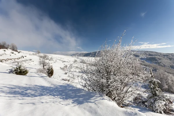 Wintertijd in Bergen — Stockfoto