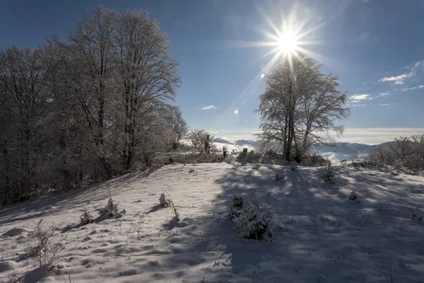 Wintertijd in Bergen — Stockfoto