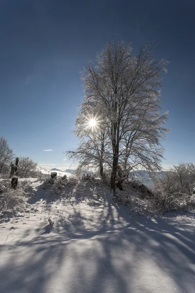 Wintertijd in Bergen — Stockfoto