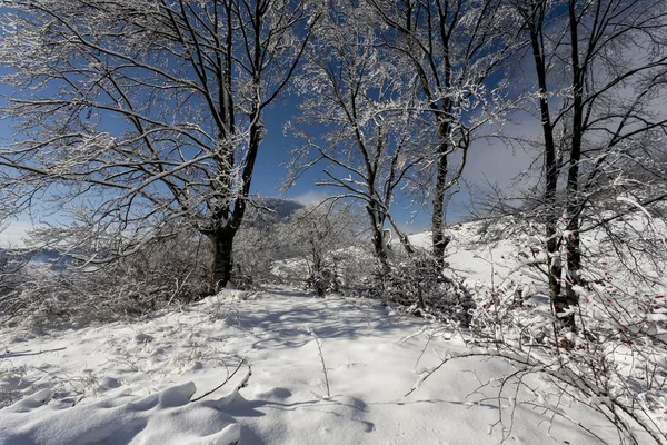 Зимнее время в горах — стоковое фото