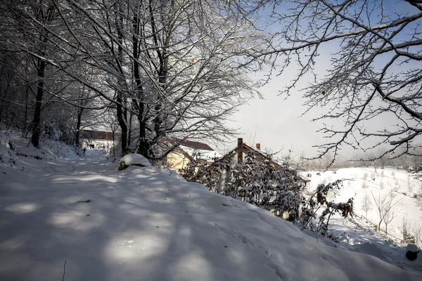 冬季时间在山中 — 图库照片