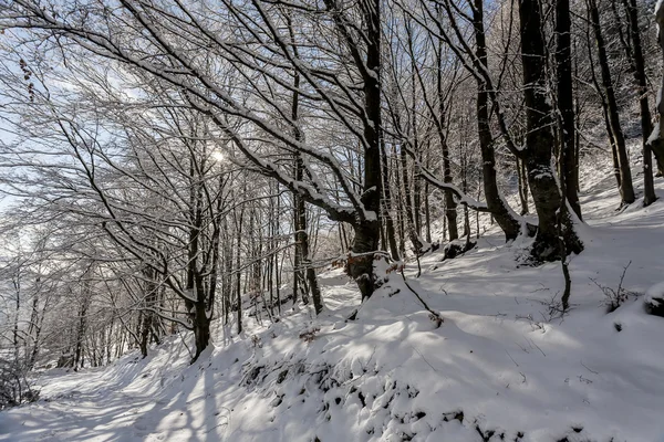 산에 겨울 시간 — 스톡 사진