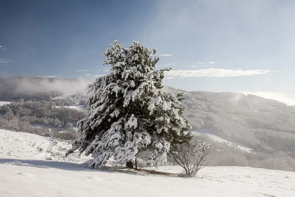 Vintertid i bergen — Stockfoto
