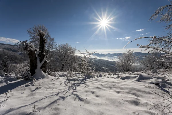 Tempo invernale in montagna — Foto Stock