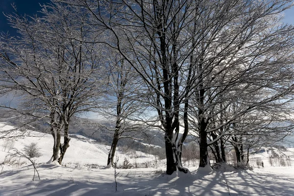 Wintertijd in Bergen — Stockfoto