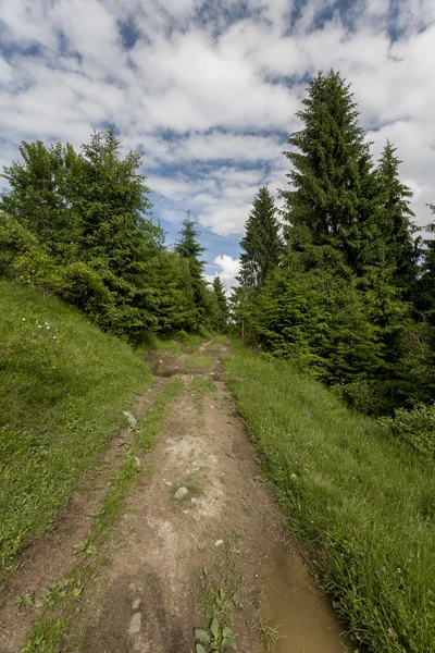 Caarpatians mountains landscape — Stock Photo, Image