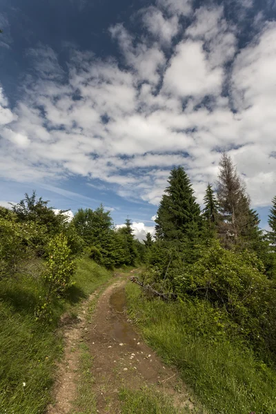 caarpatians dağlar manzara