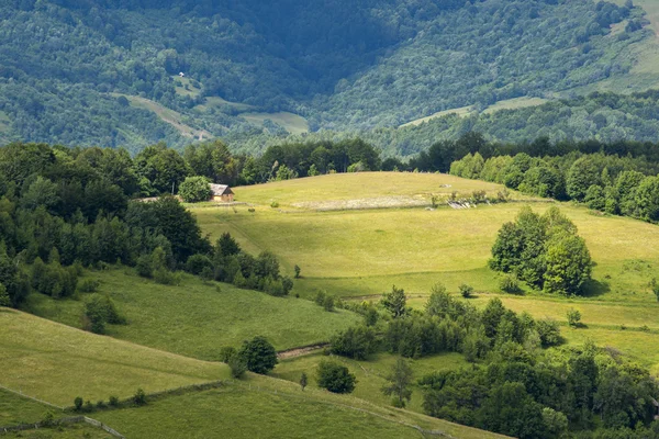 Bergen landschap Roemenië — Stockfoto