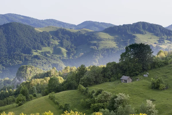 Montagnes paysage Roumanie — Photo