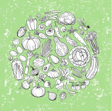farklı sebze çizimleri
