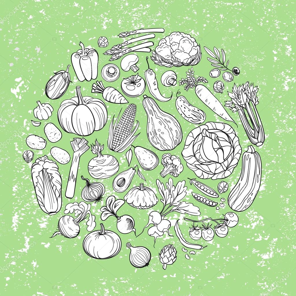 different vegetables drawings