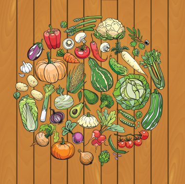 farklı sebze çizimleri