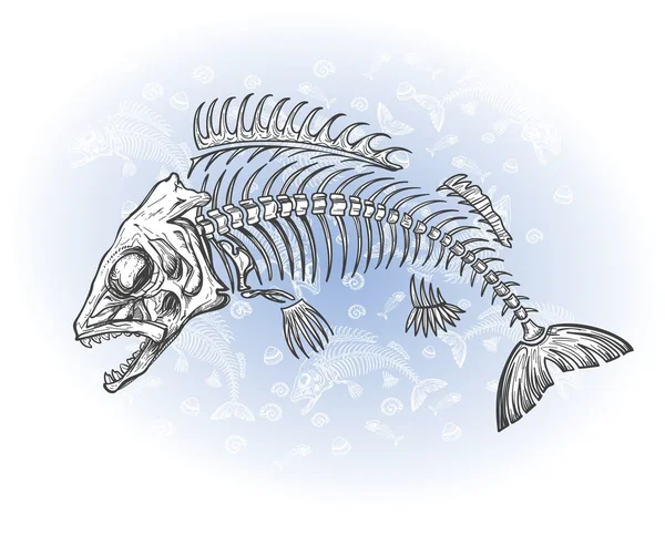 Balık kemik çizim — Stok Vektör