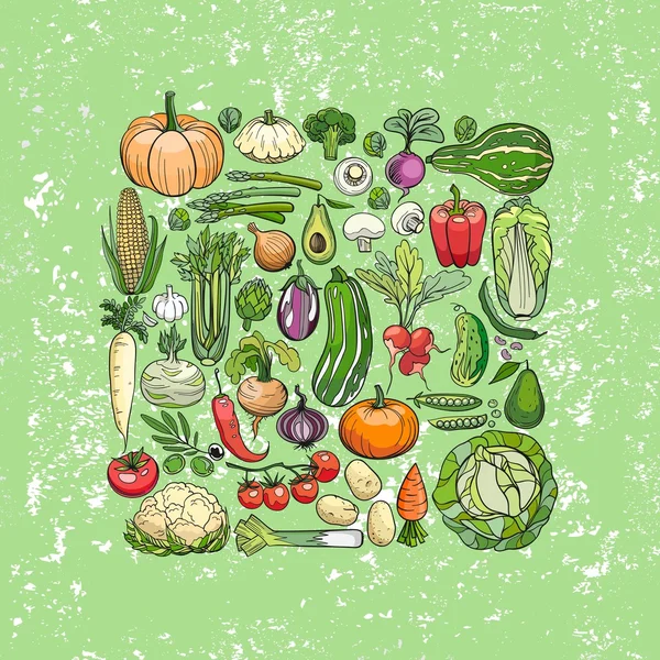 Diferentes desenhos vegetais —  Vetores de Stock