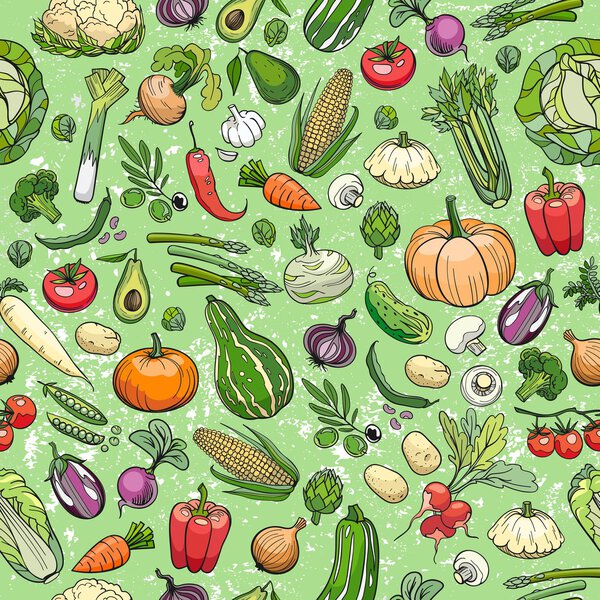 different vegetables drawings