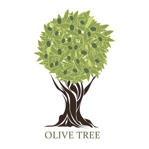 Logo in the form of a stylized olive tree with olives — Stock Vector