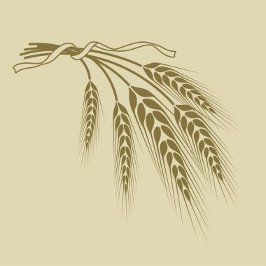 bej renkli arka plan üzerinde bir kurdele ile bağlanmış buğday spikelets