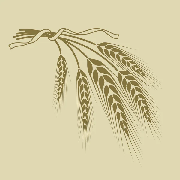 Spikelets of wheat tied with a ribbon on a beige background — Stock Vector