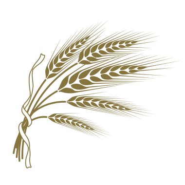 spikelets bir kurdele ile bağlanmış buğday