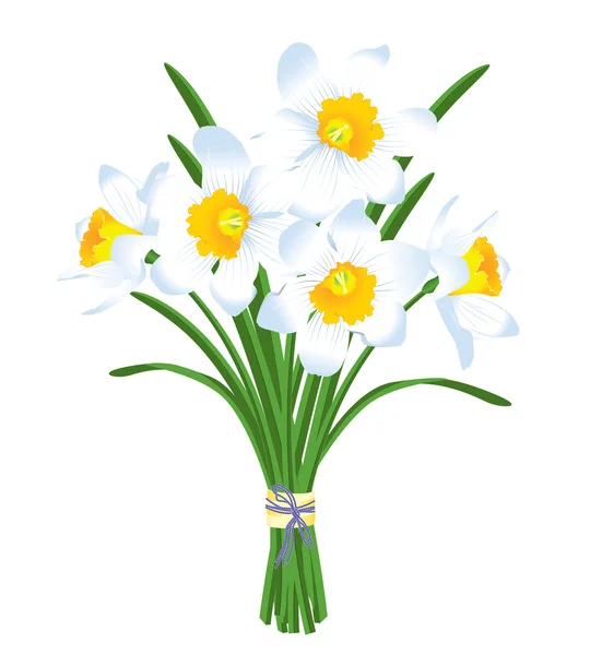 Spring bouquet of white daffodils — Stock Vector