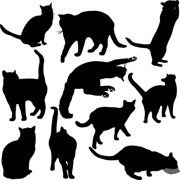 Macskák silhouette gyűjtemény — Stock Vector