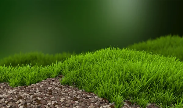 Zielona trawa z kamieni — Zdjęcie stockowe