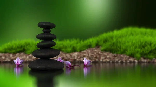 Green grass with stones — Stock Photo, Image