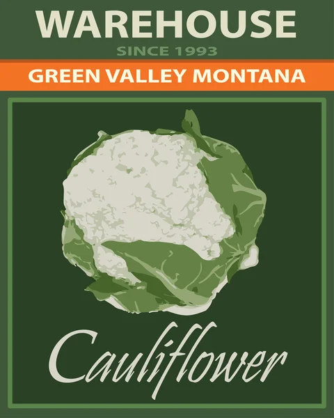 Cauliflower poster — Stock Vector