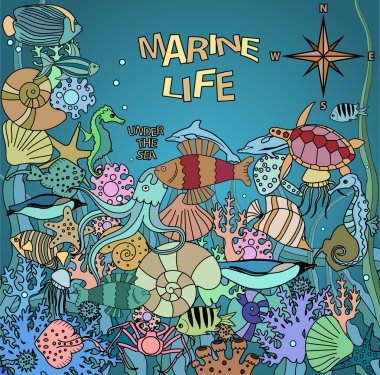 Doodles'ın deniz yaşamı. Deniz fauna