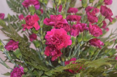 Pembe karanfiller çiçek veya buket olarak da bilinir.