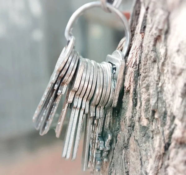 Llavero Con Anillo Con Árbol Para Casa — Foto de Stock