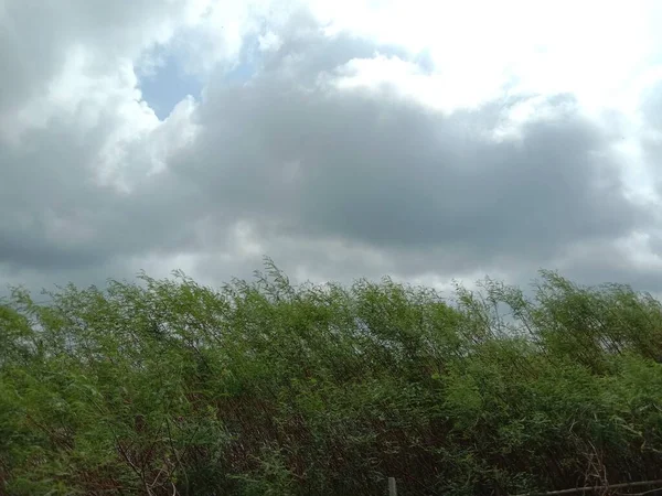 Cielo Azul Con Hermosa Vista Verde Naturaleza —  Fotos de Stock