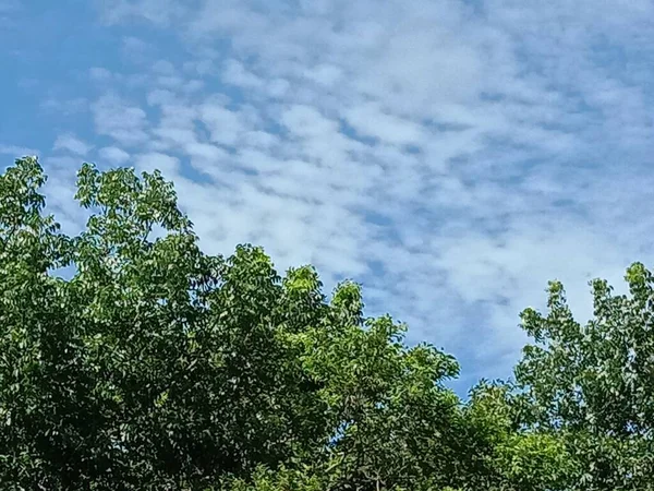 Błękitne Niebo Pięknym Widokiem Zieloną Przyrodę — Zdjęcie stockowe