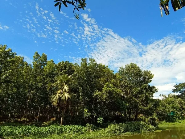 Güzel Yeşil Doğa Manzaralı Mavi Gökyüzü — Stok fotoğraf