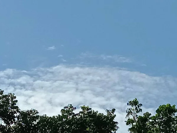 Ciel Bleu Avec Belle Vue Sur Nature Verte — Photo