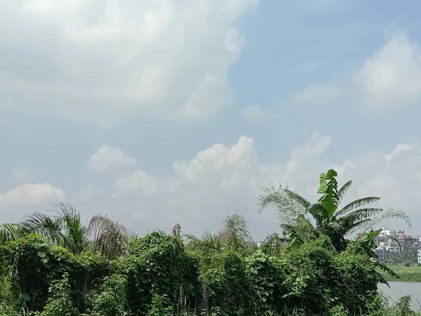 Blauwe Lucht Met Prachtig Uitzicht Groene Natuur — Stockfoto