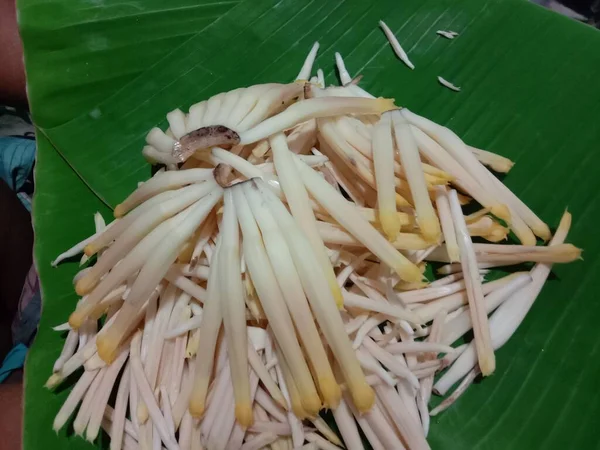 맛있고 정원의 봉오리 — 스톡 사진