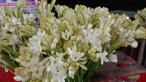 Bílá Barevná Krásná Květina Zeleným Listem — Stock fotografie