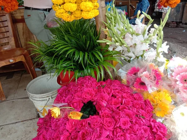 Hermosa Flor Color Amarillo Rosa Con Hoja Jardín —  Fotos de Stock
