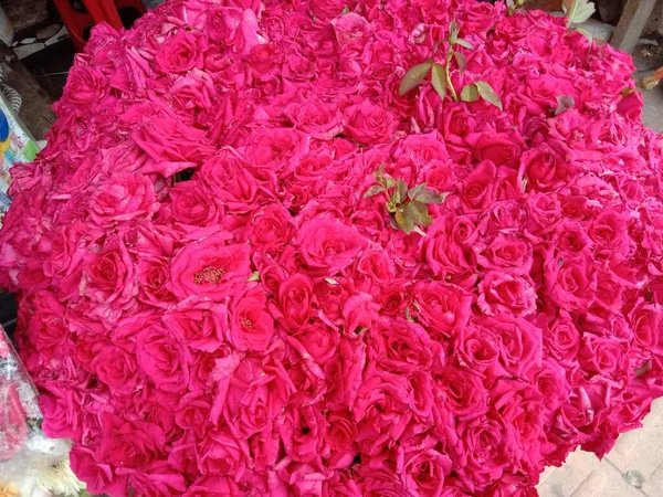 Couleur Rouge Stock Fleurs Sur Boutique Vendre — Photo