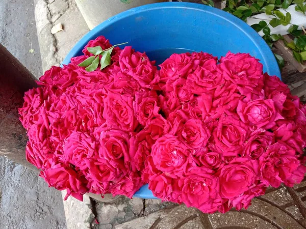 Estoque Flor Cor Vermelha Loja Para Vender — Fotografia de Stock