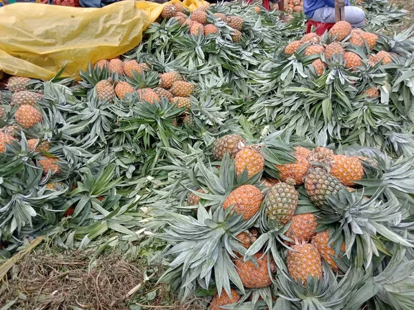 Smaczne Zdrowe Pomarańczowe Kolorowe Ananasy Rynku — Zdjęcie stockowe