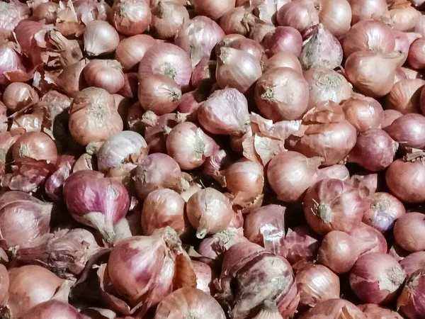 Zdravé Kořeněné Cibule Skladem Obchod — Stock fotografie