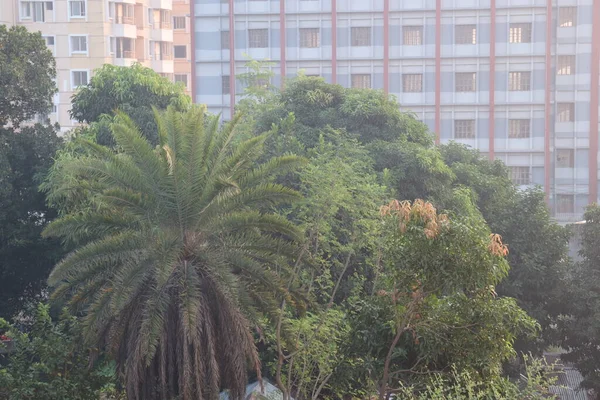 Apartamento Vista Del Edificio Para Vivir Ciudad — Foto de Stock