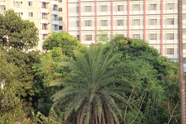 Apartment Building View Living City — Stock Photo, Image